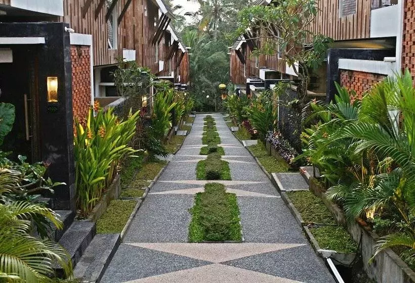 Fotos del hotel Green Fields Luxury Villas:  6