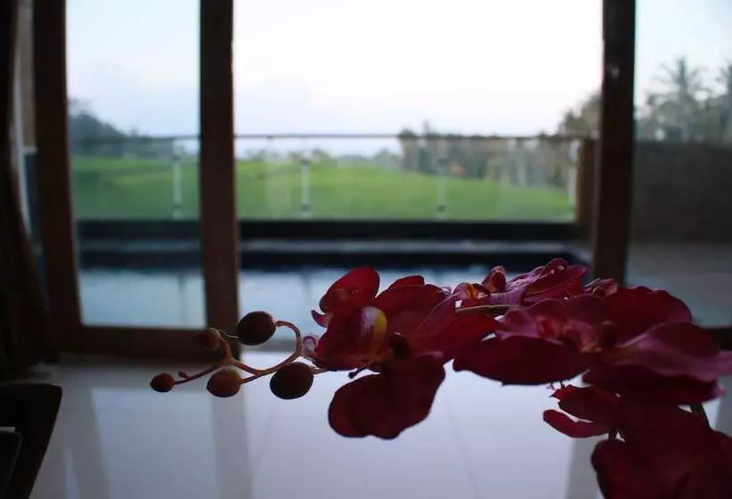 Fotos del hotel Green Fields Luxury Villas:  18