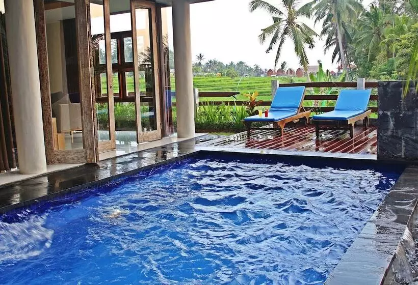 Fotos del hotel Green Fields Luxury Villas:  2