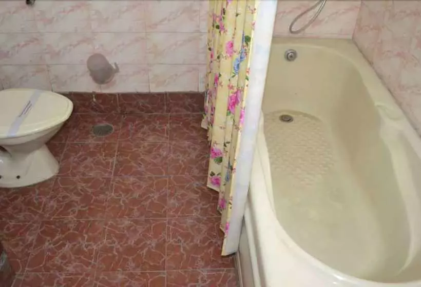Fotos del hotel Atithi Palace:  12