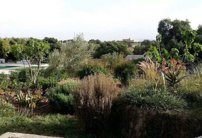 Fotos del hotel Riad Tigmin Eden:  9