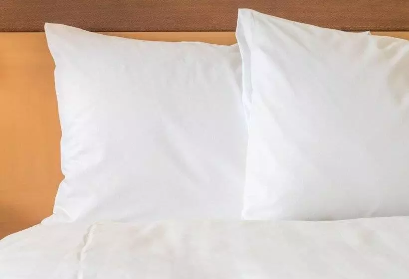 Fotos del hotel Holiday Inn Express Luzern  Kriens:  7