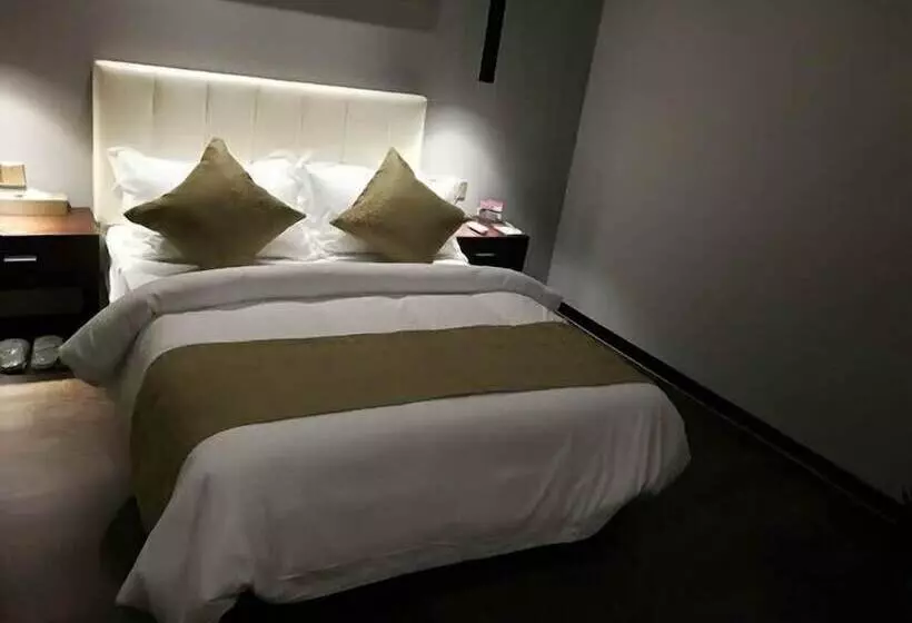 Fotos del hotel Metropolo Shanghai Hongqiao Airpart Wuzhong Road:  23