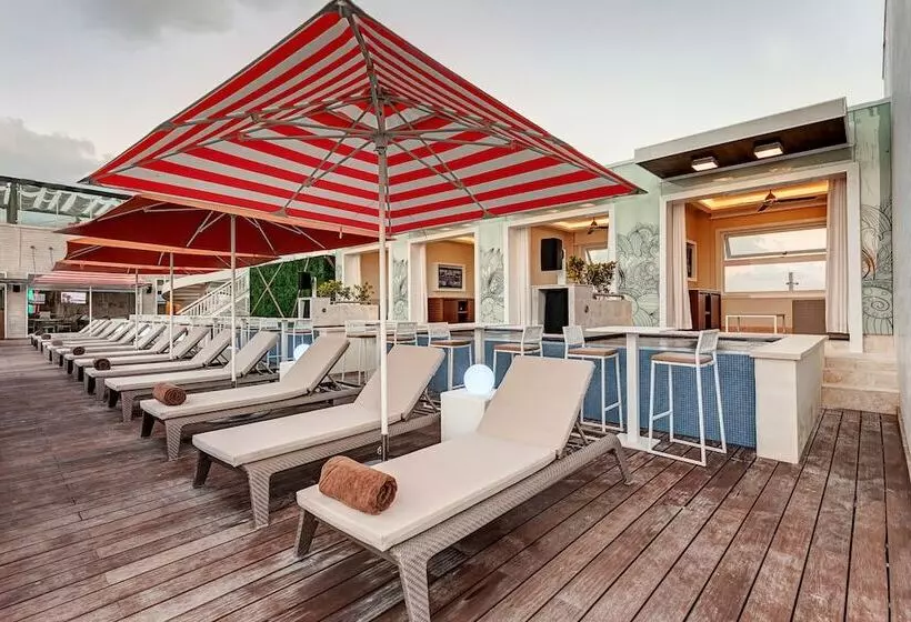 Fotos del hotel Royalton Chic Suites Cancun Resort &amp; Spa Adults Only  All Inclusive:  17