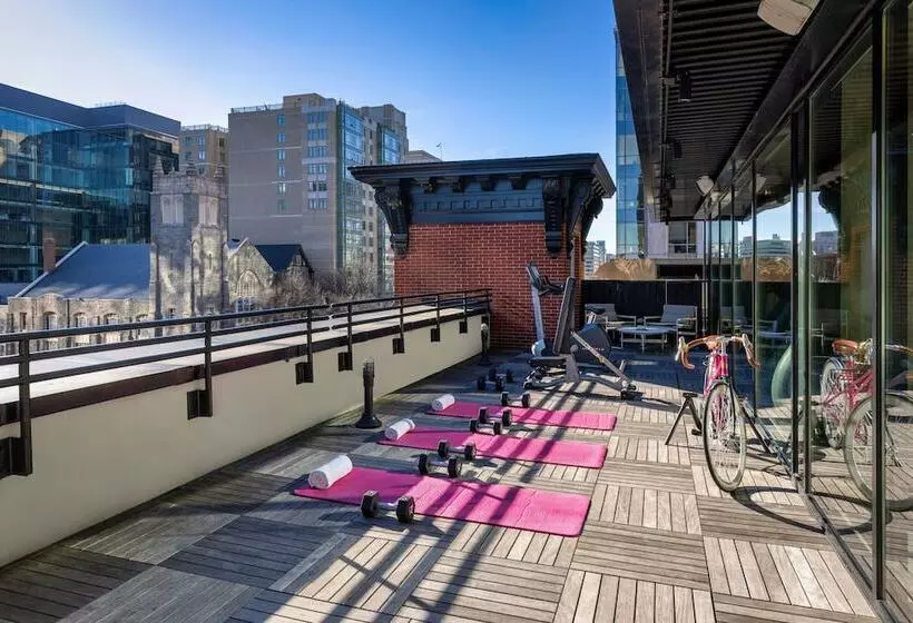 Fotos del hotel Moxy Washington Dc Downtown:  23