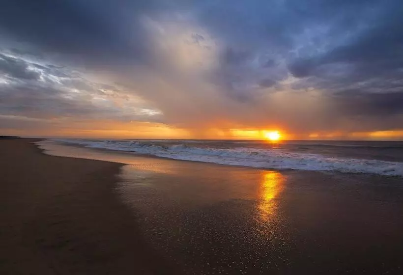 Fotos del hotel Landmark Pallavaa Beach Resorts:  7