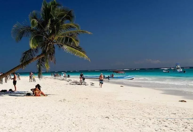 Fotos del hotel Alea Tulum By Blue Sky:  23