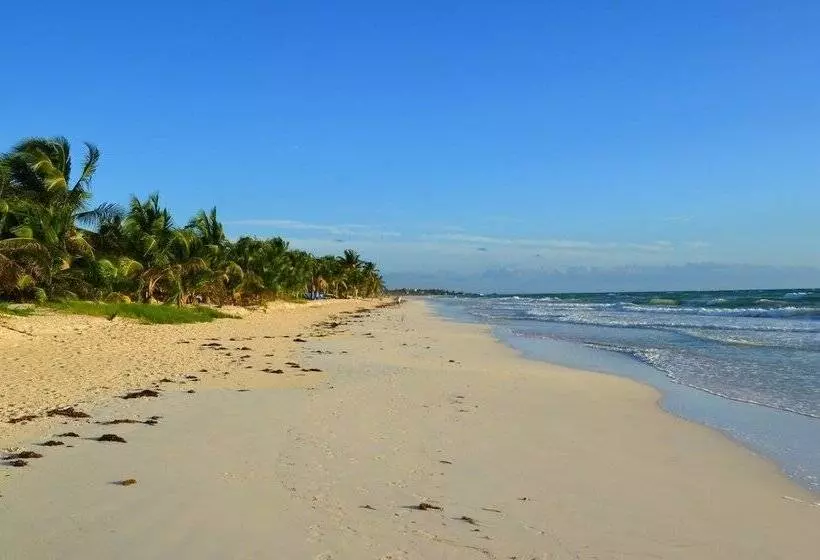Fotos del hotel Alea Tulum By Blue Sky:  16