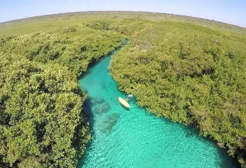 Fotos del hotel Alea Tulum By Blue Sky:  19