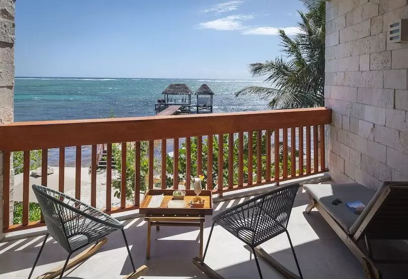 Fotos del hotel Alea Tulum By Blue Sky:  21
