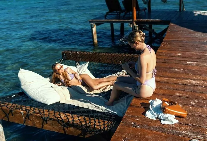 Fotos del hotel Alea Tulum By Blue Sky:  8