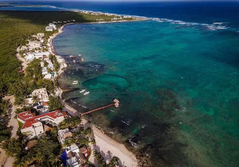 Fotos del hotel Alea Tulum By Blue Sky:  7