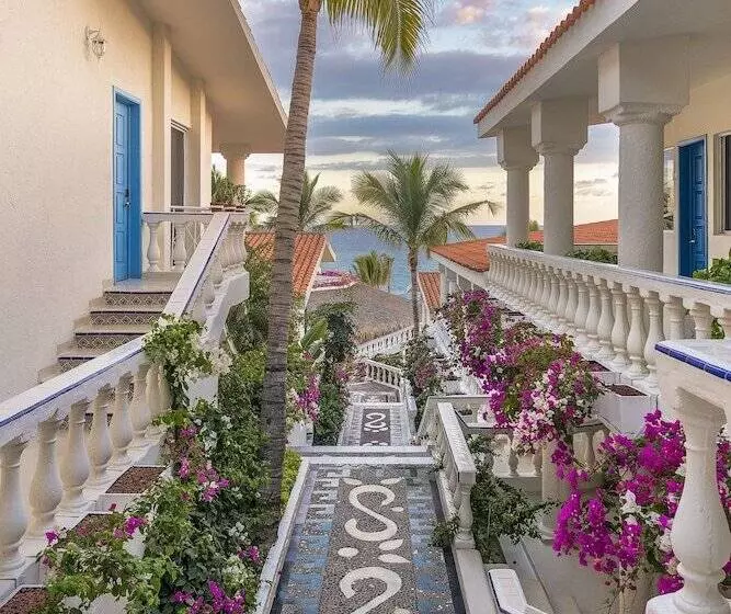 Fotos del hotel Mar Del Cabo By Velas Resorts:  10