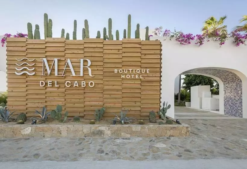 Fotos del hotel Mar Del Cabo By Velas Resorts:  14