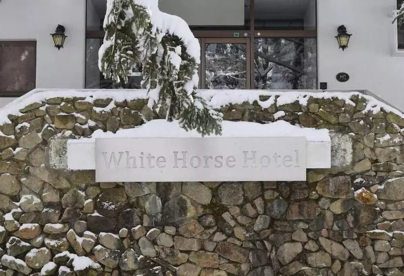Fotos del hotel White Horse:  25