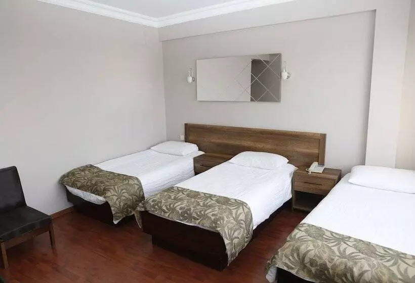 Fotos del hotel Yeni:  8