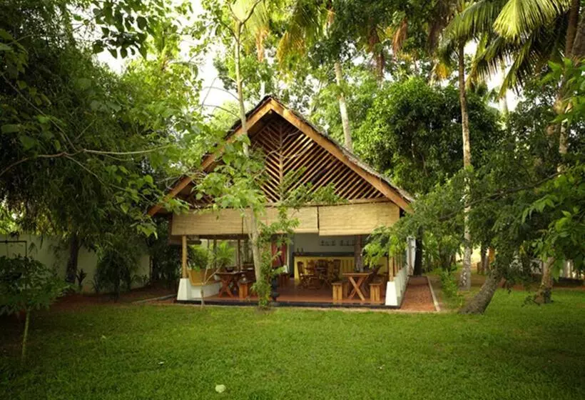 Fotos del hotel Olam:  25