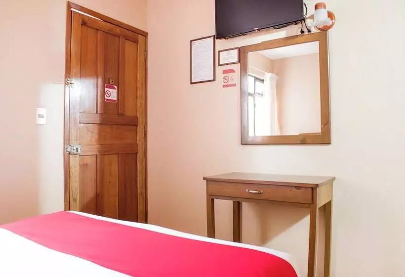 Fotos del hotel Museo:  7