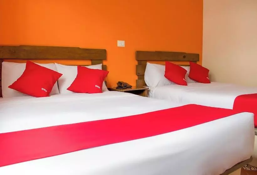 Fotos del hotel Museo:  17