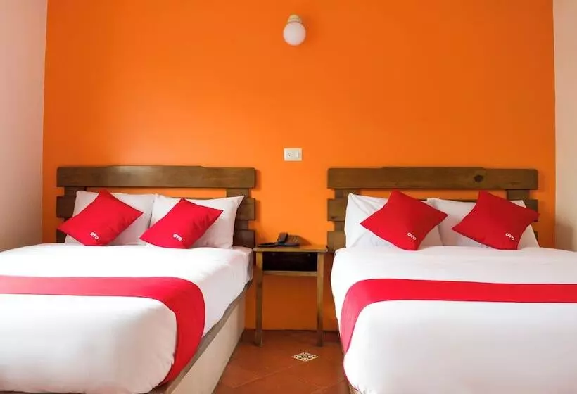Fotos del hotel Museo:  19
