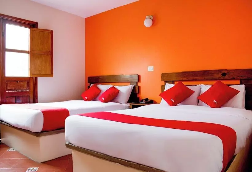 Fotos del hotel Museo:  20