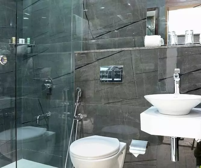 Fotos del hotel Ebony Residency:  2