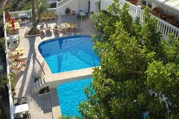 Masa International - Torrevieja