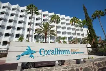 Corallium Beach by Lopesan Hotels - Adults Only - San Agustín