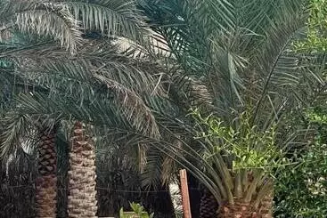 فيلا بمزرعة - Al Ula