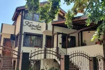 Kamelia Guest Rooms - Kazanlak