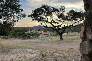 Apartamentos Rurales En Plena Sierra - Alia