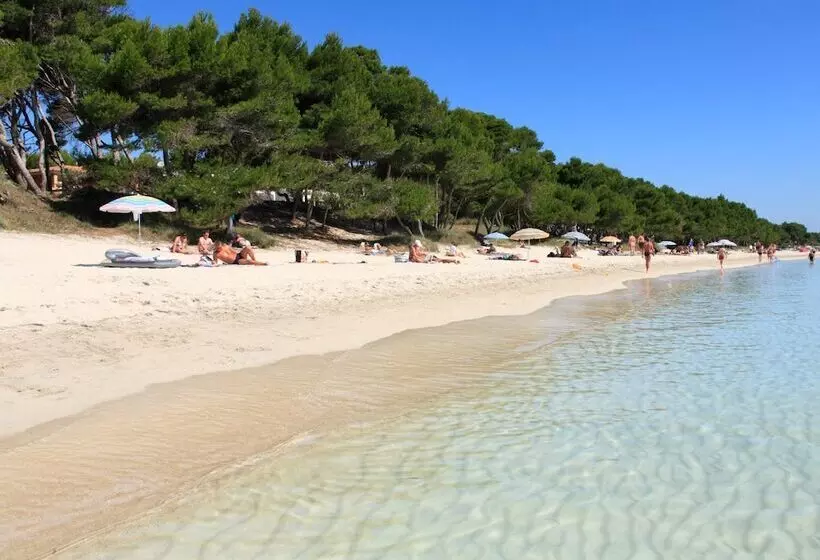 Fotos del hotel Js Yate:  15