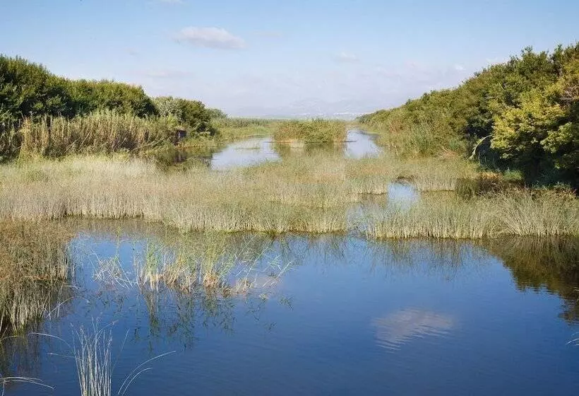 Fotos del hotel Js Yate:  19