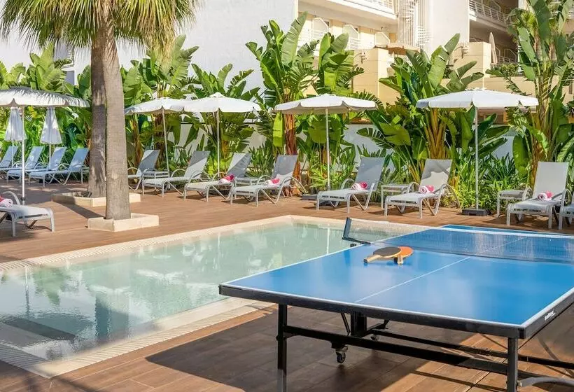 Fotos del hotel Js Yate:  5