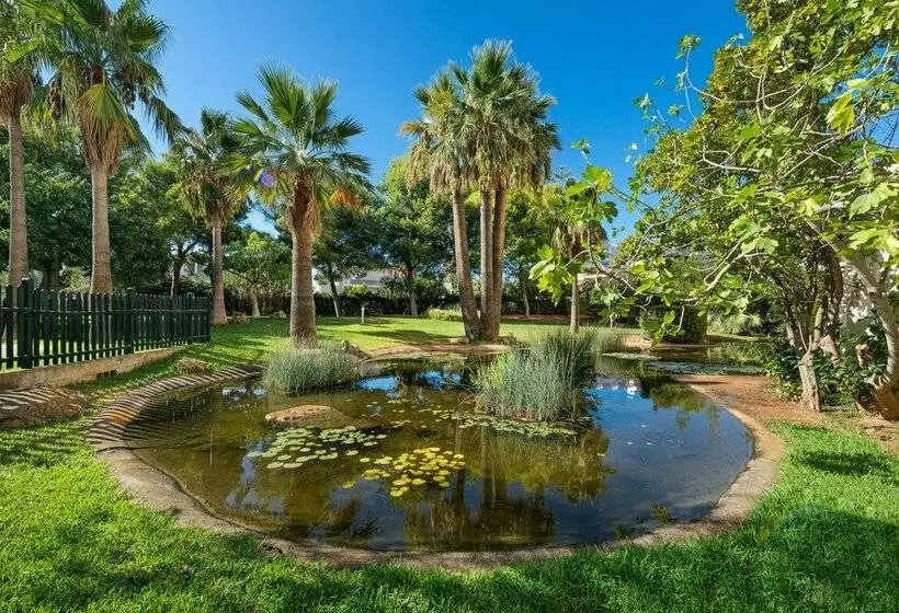 Fotos del hotel Marfil Playa:  51