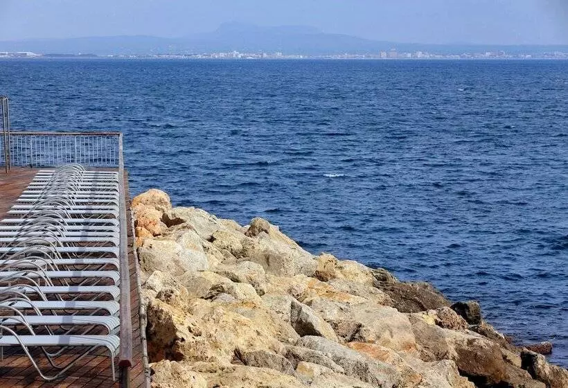 Fotos del hotel Palace Bonanza Playa Resort & Spa By Olivia S Collection:  13