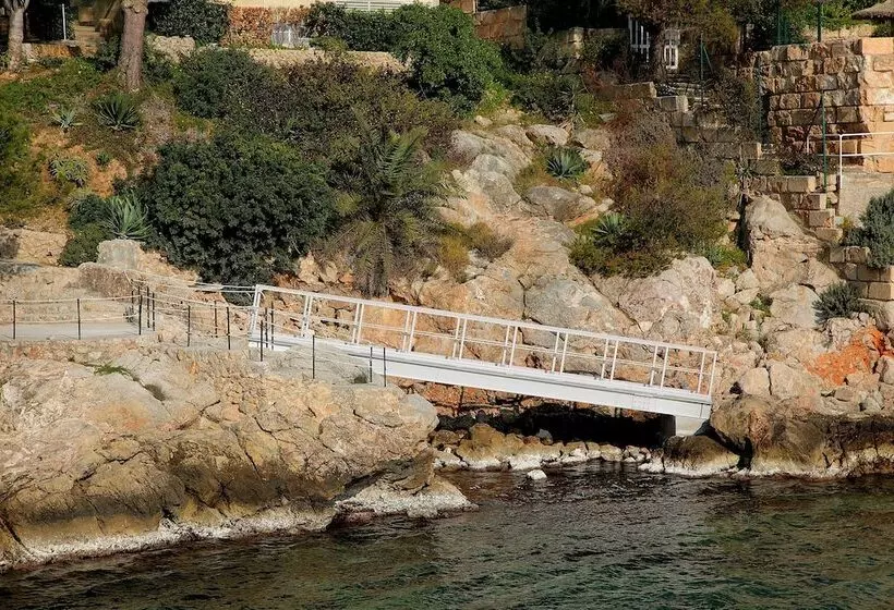 Fotos del hotel Palace Bonanza Playa Resort & Spa By Olivia S Collection:  29