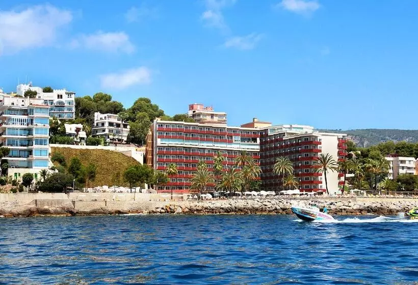 Fotos del hotel Palace Bonanza Playa Resort & Spa By Olivia S Collection:  36