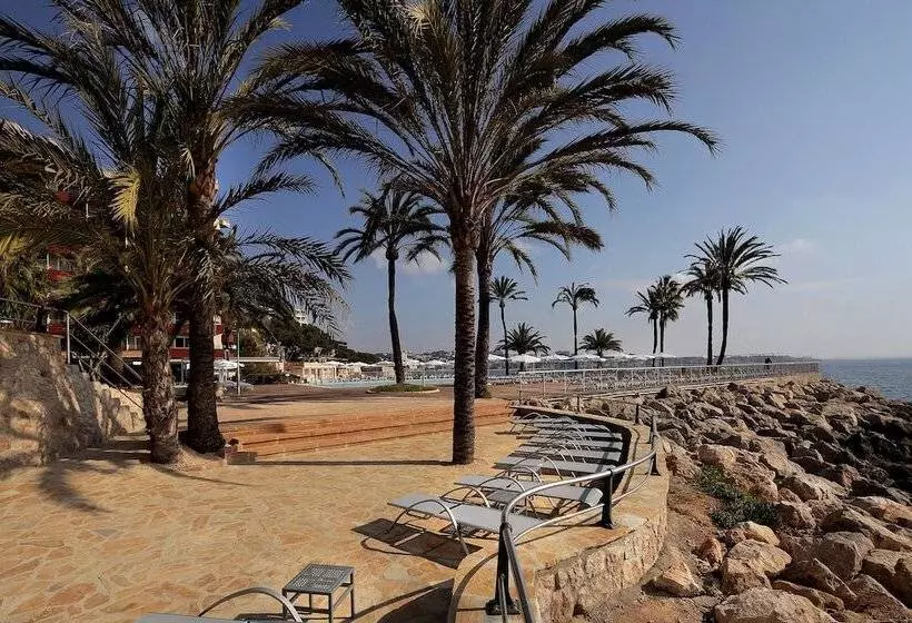 Fotos del hotel Palace Bonanza Playa Resort & Spa By Olivia S Collection:  22