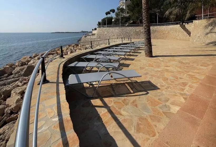 Fotos del hotel Palace Bonanza Playa Resort & Spa By Olivia S Collection:  24