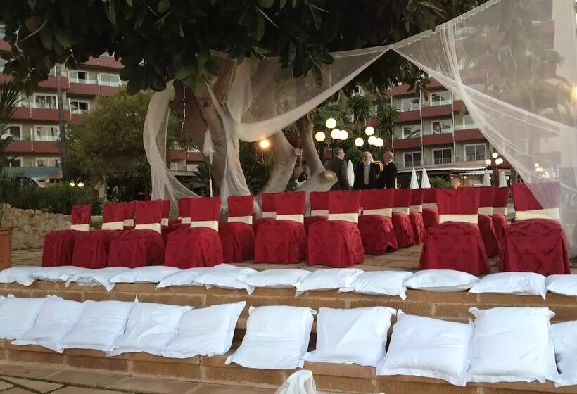 Fotos del hotel Palace Bonanza Playa Resort & Spa By Olivia S Collection:  26