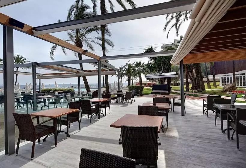 Fotos del hotel Palace Bonanza Playa Resort & Spa By Olivia S Collection:  4