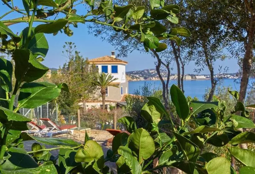 Fotos del hotel Petit Cala Fornells:  21