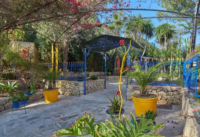 Fotos del hotel Petit Cala Fornells:  5