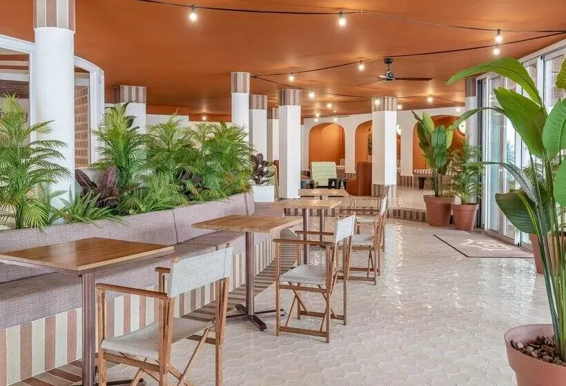 Fotos del hotel Piñero Tal:  22