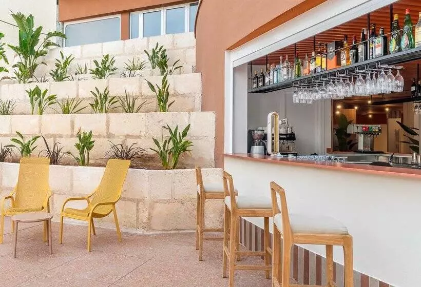 Fotos del hotel Piñero Tal:  24