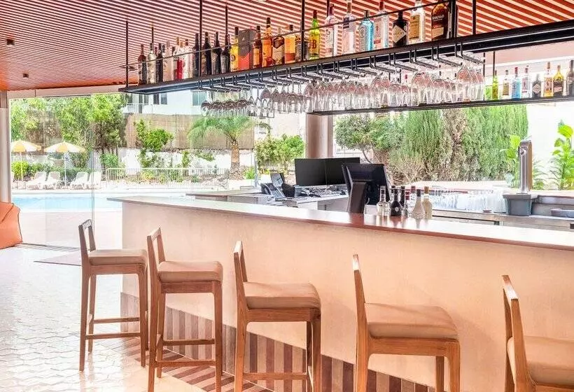 Fotos del hotel Piñero Tal:  9