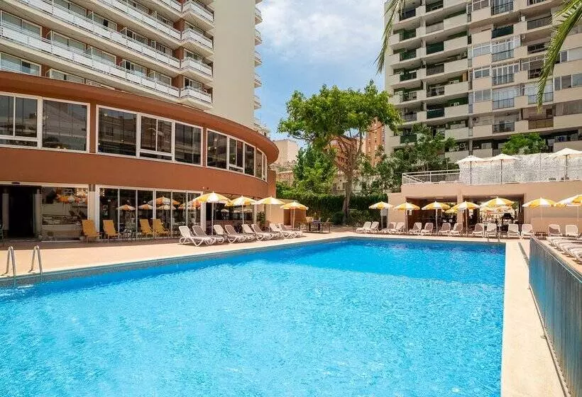 Fotos del hotel Piñero Tal:  12