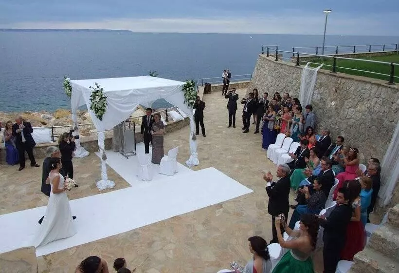 Fotos del hotel Palace Bonanza Playa Resort & Spa By Olivia S Collection:  11