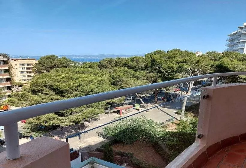 Fotos del hotel Fenix:  50